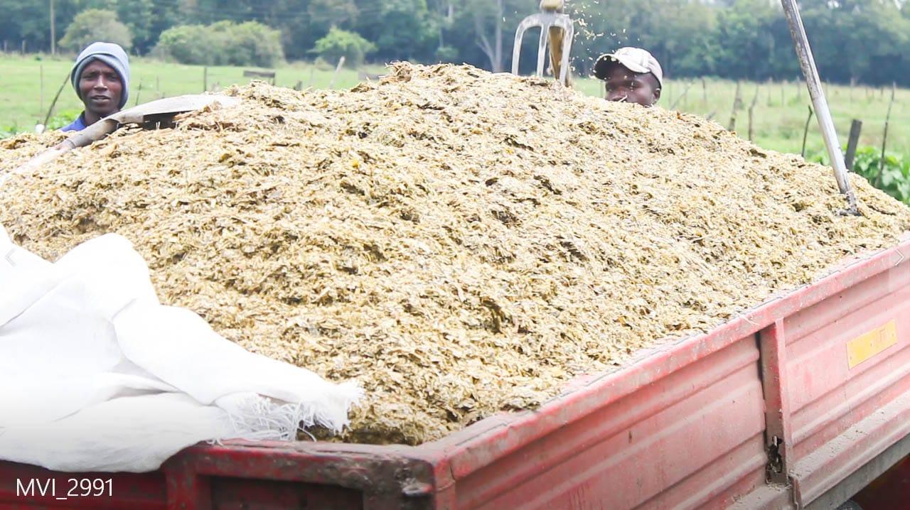 Fodder Systems